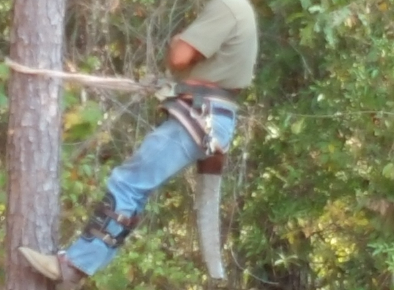 Wayne's Tree Service - Eufaula, AL