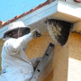 Bee Control Center