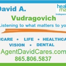 HealthMarkets Insurance - David Vudragovich - Insurance Consultants & Analysts