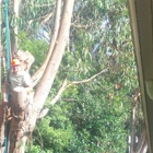 Cutting Edge Tree Service and Solutions