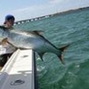 Catch 'Em All Sportfishing gallery