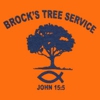 Brock's Tree Service gallery
