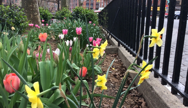 Seward Park Library - New York, NY