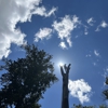 Earthworks Tree Services, INC gallery