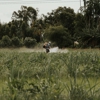 All South Pest Control gallery