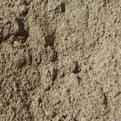 Gallery Image Number 7