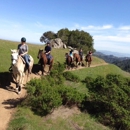 Point Reyes Arabian Adventures - Riding Apparel & Equipment