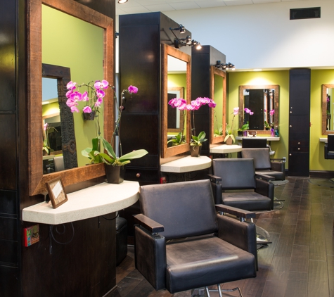 Love Organic Salon, Spa & Yoga - Simi Valley, CA