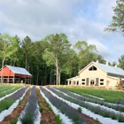 Lavender Oaks Farm