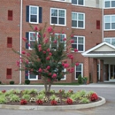 Darbyhouse Apartments - Furnished Apartments
