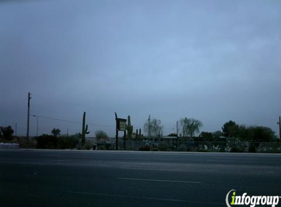 Arizona Cactus Sales - Chandler, AZ