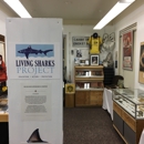 Living Sharks Museum & Research Center - Museums