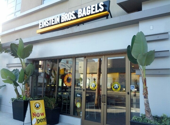 Einstein Bros Bagels - Los Angeles, CA