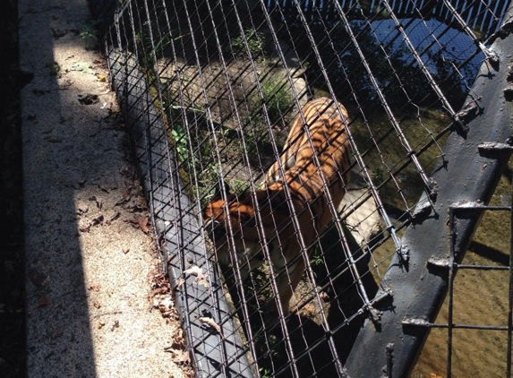 Brandywine Zoo - Wilmington, DE