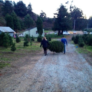 Santa's Tree Farm - Half Moon Bay, CA