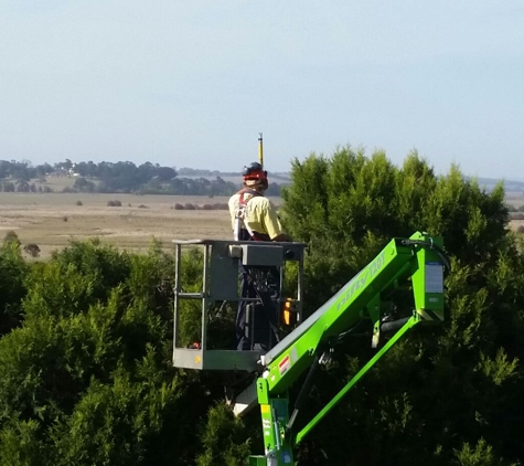Aussie Tree Fellers - Goulburn, NSW