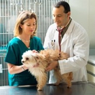 Washington County Veterinary Hospital - Howard Troob DVM