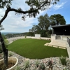 Waterloo Turf Indianapolis Artificial Grass gallery