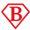 Biango Construction gallery
