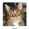 Animal Welfare Society Inc gallery