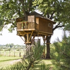 Tree-fort builders