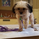 Yolo Veterinary Clinic - Pet Boarding & Kennels