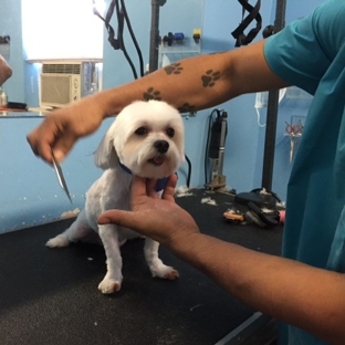 Bubbles Pet Grooming - Miami, FL