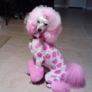 Loving and Gentle Dog Grooming - Pet Grooming