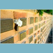Gallery Image Number 5