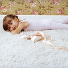 Heaven's Best Carpet Cleaning Southlake TX