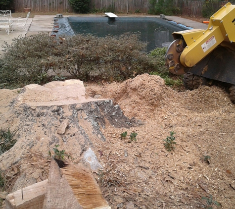 Town And Country Stump Removal - Walhalla, SC