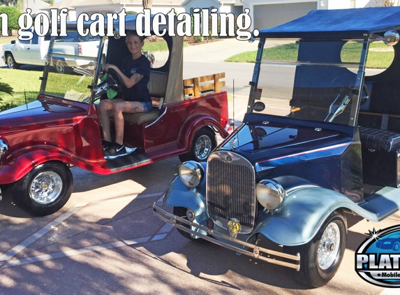 Platinum Mobile Detailing - Oxford, FL