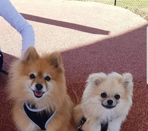 Scooby -Doo Pet Resort - Beverford, VIC