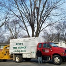 Reid's Tree Service - Tree Service