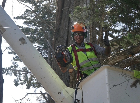 Tope's Tree Service - Salinas, CA