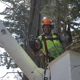 Tope's Tree Service