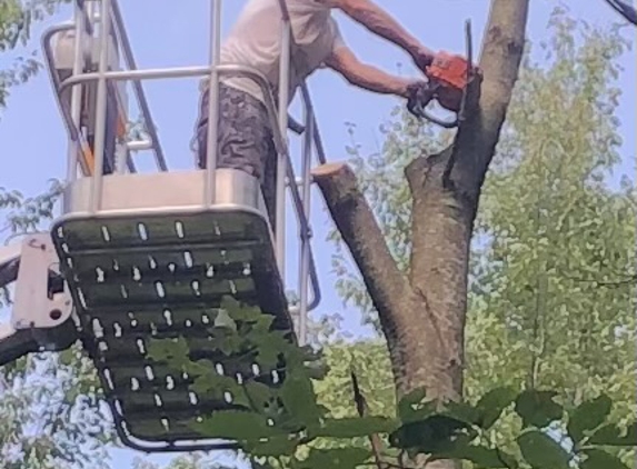 Greg's Tree Service - Kalamazoo, MI