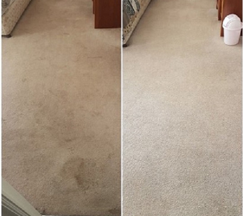 Professional Carpet Systems - Raleigh, NC