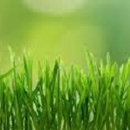 Vincent's Lawn Care