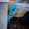 Fox Pest Control Worcester gallery