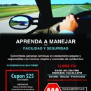 AAA Pan American Driving School - Driving Instruction