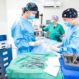 Warwick Veterinary Clinic - Warwick, QLD. Your first choice for animal care