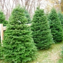 Prepaid Christmas Trees - Christmas Trees