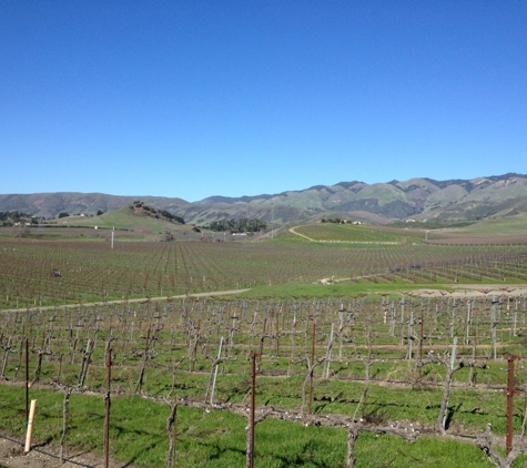 Wolff Vineyards - San Luis Obispo, CA