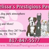 Melissa's Prestigious Pawz gallery