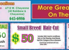 Groomingdales best sale on durango