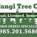 Tangi Tree - Tree Service