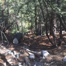 Ernie Maxwell Scenic Trail
