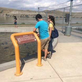 Giant Springs State Park - Great Falls, MT