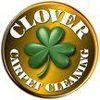 Clover Carpet Cleaning Inc gallery